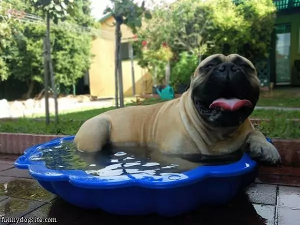 My Cool Off Bath