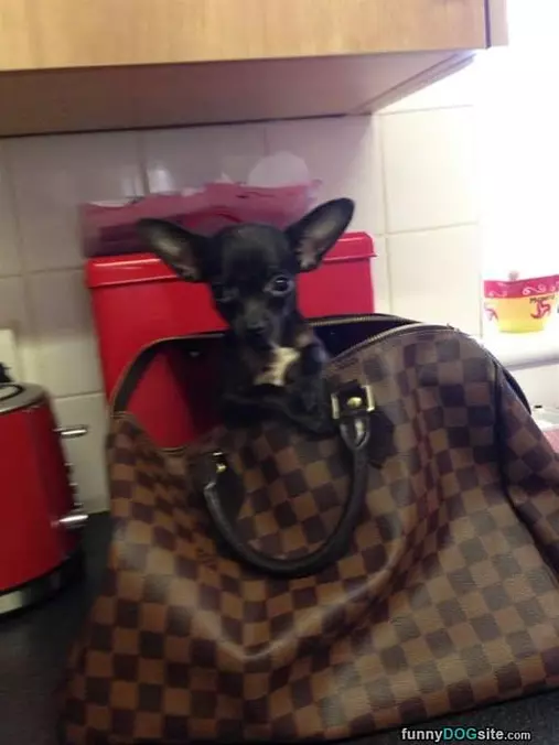 Take Me With You