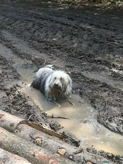 Playing In The Mud