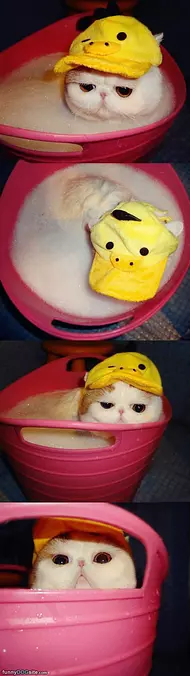 This Is A Nice Bath