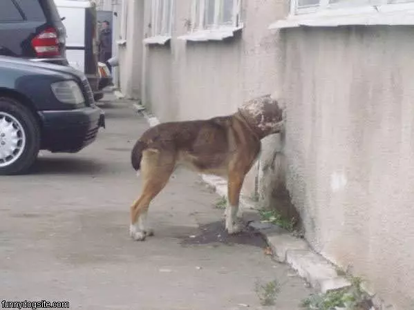 Whats In Here