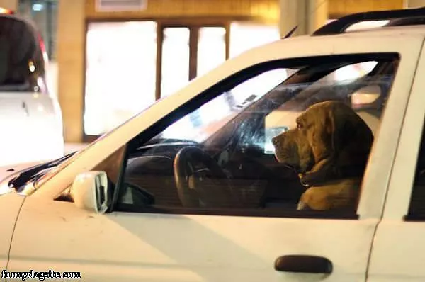 Stuck At A Red Light
