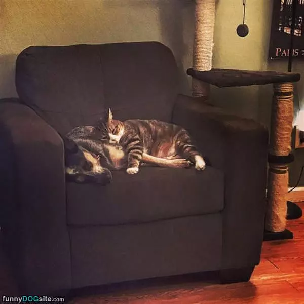 Chilling Together