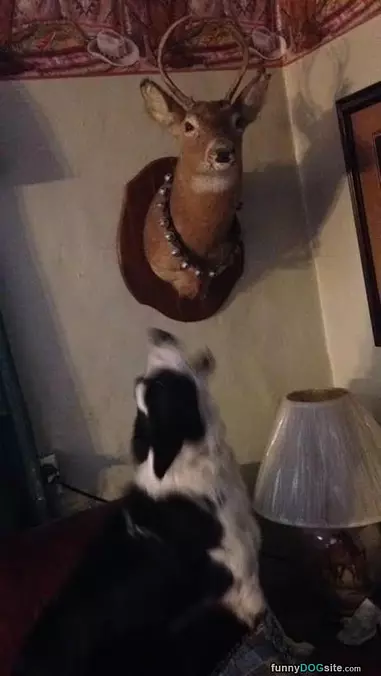 Bobby And The Deer