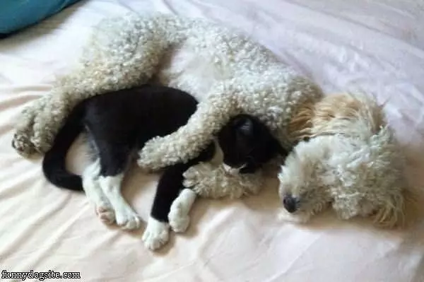 How We Keep Warm