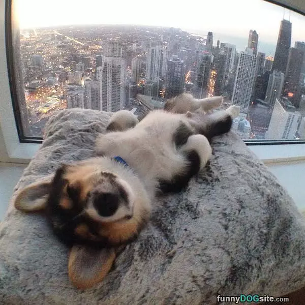 Chillin Over Here
