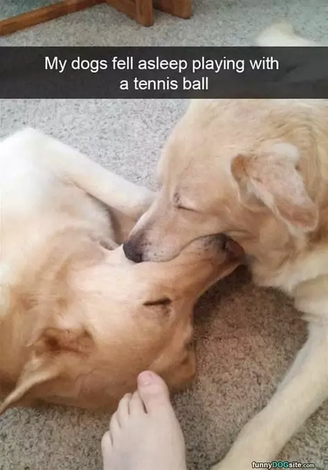 Fell Asleep Doing This