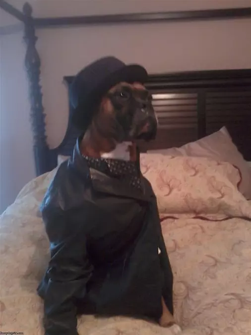 Ready For A Night Out