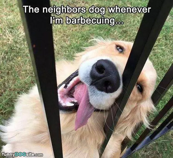 I Love The Smell Of Bbq