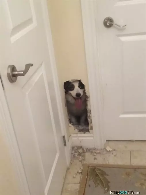 Cannot Keep Me Out