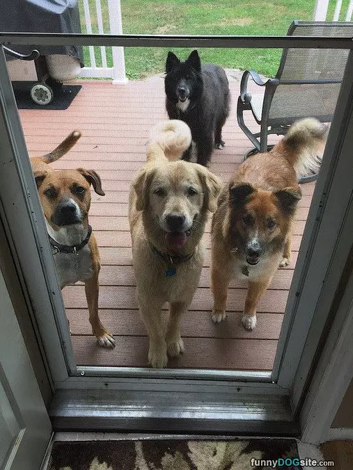 Let Us All In