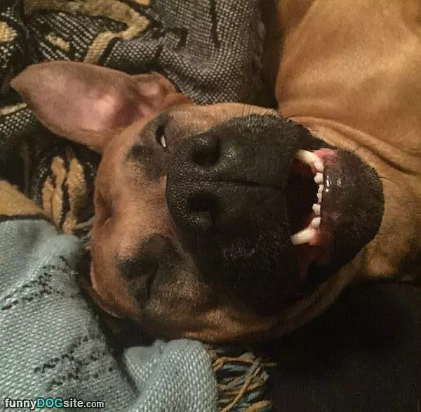 My Passed Out Face
