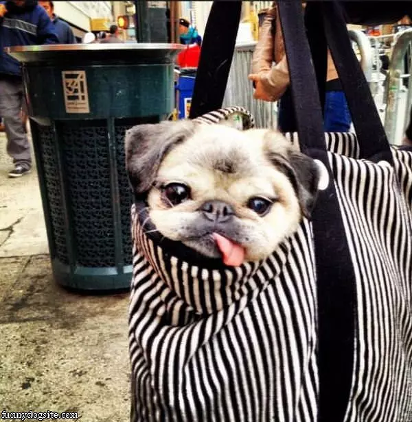I Dont Mind This Bag
