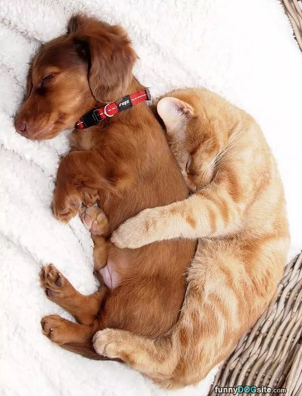 Cuddling Up So Warm