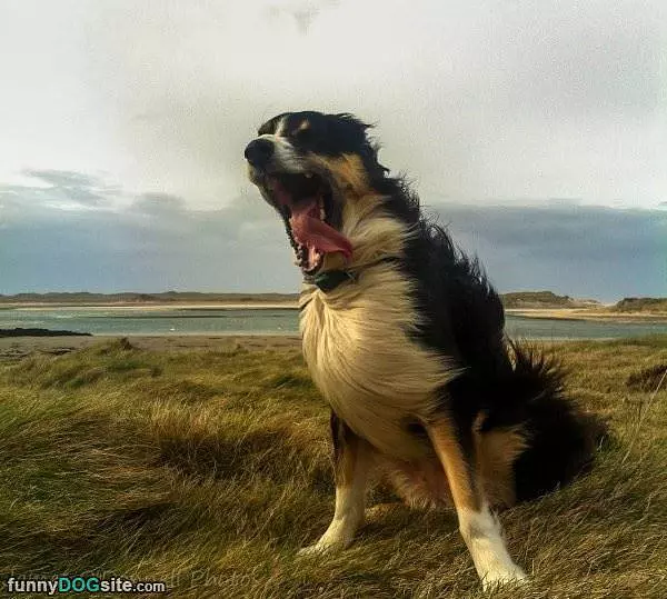 Super Windy