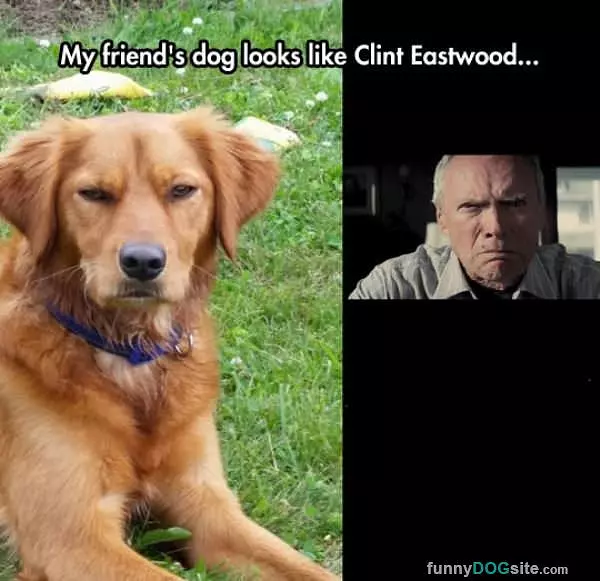 Clint Eastwood