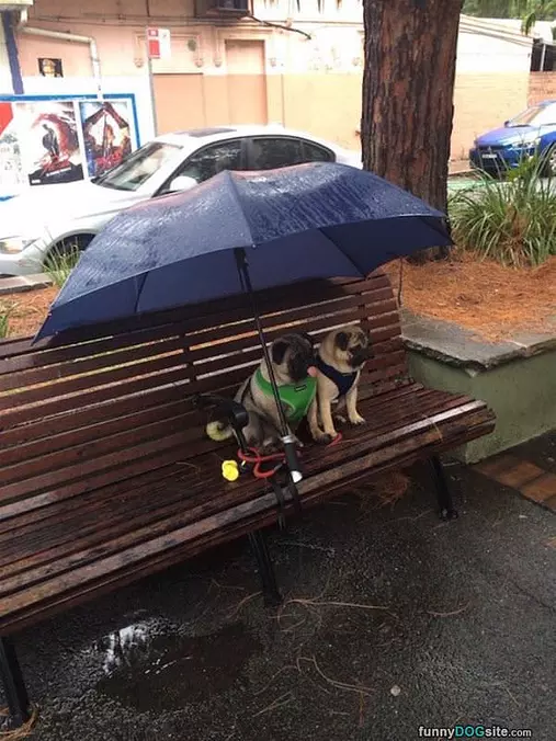 Hiding From The Rain