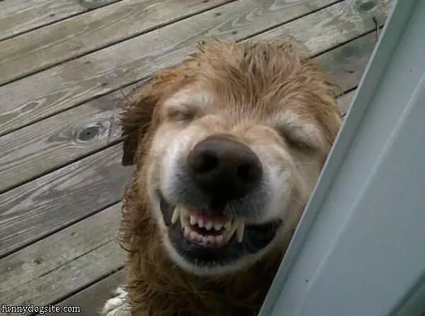 Ohhh Hahaha