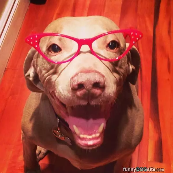 Very Cool Glasses