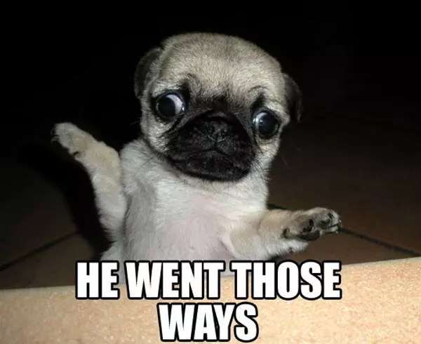 Went That Way