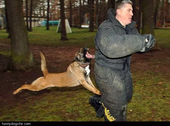 Killer