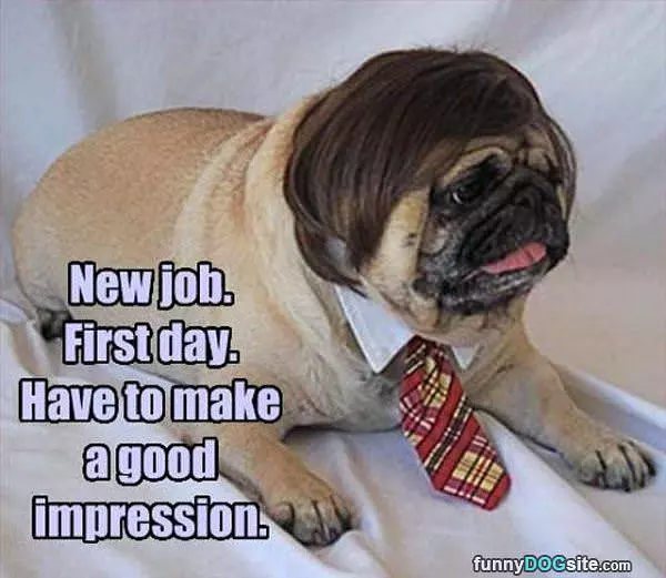 First Day