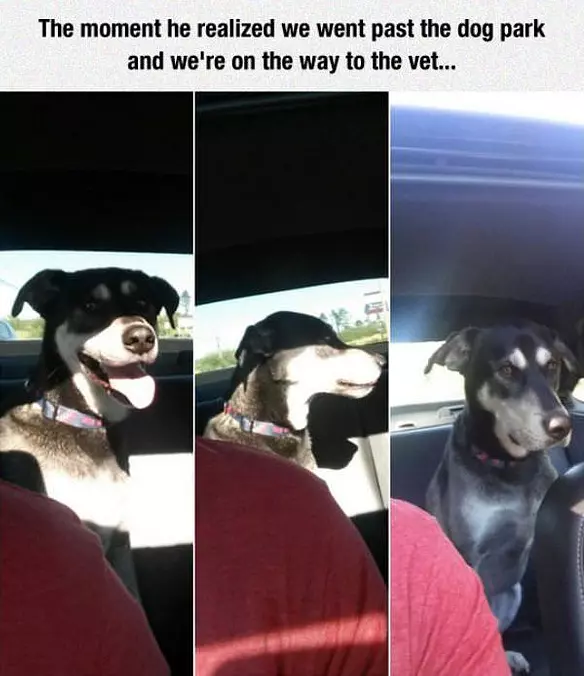 The Moment He Realized