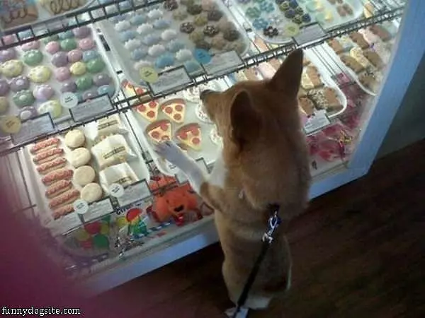 One Of Each Please