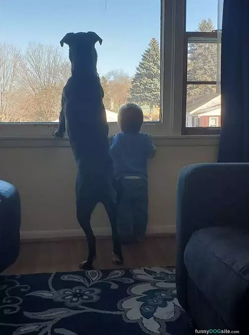Looking Out The Window
