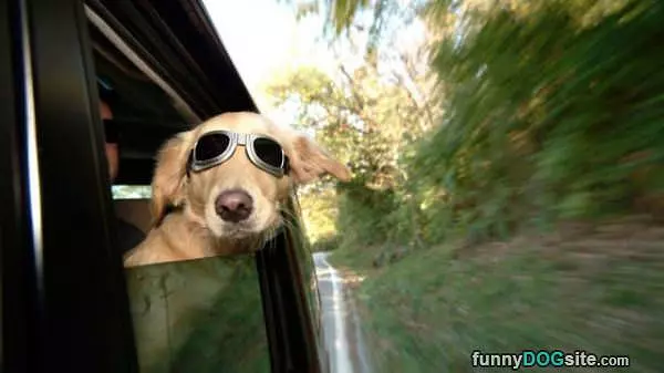 Head Out The Window