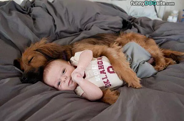 Very Cuddled Up