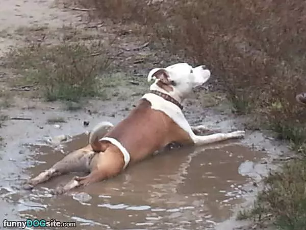 Cooling Off