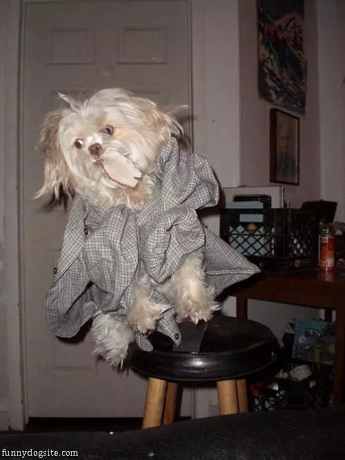 I Can Fly
