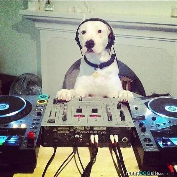 Please Request A Song