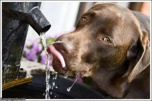 So Thirsty