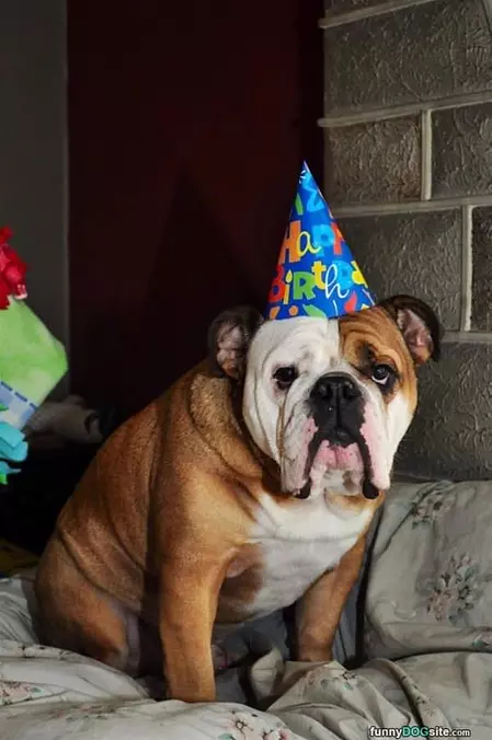 Such A Happy Birthday
