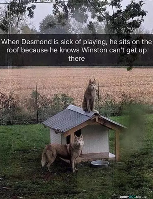 Sick Of Playing