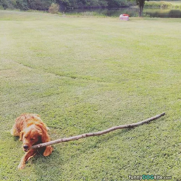 A Tiny Stick