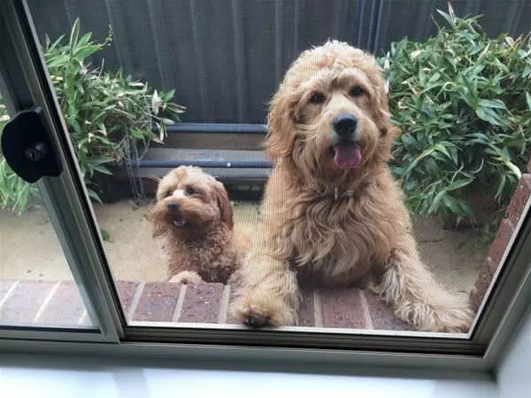 Me And Mini Me