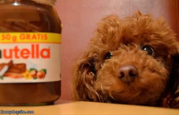 Can I Have Some