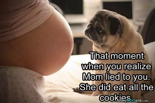 You Realize
