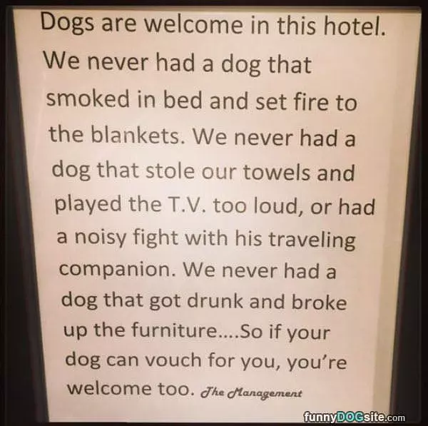 Dogs Are Welcome
