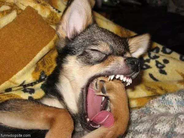 Squooosh