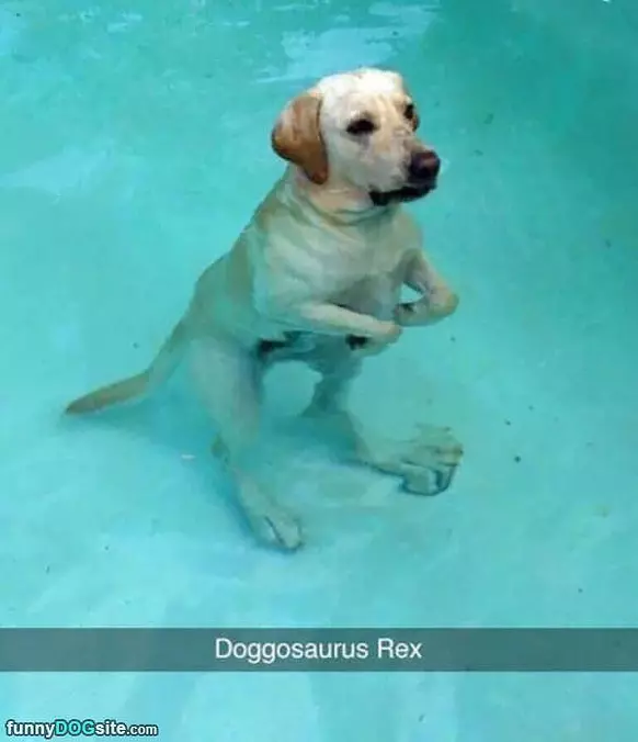 Doggosaurus Rex