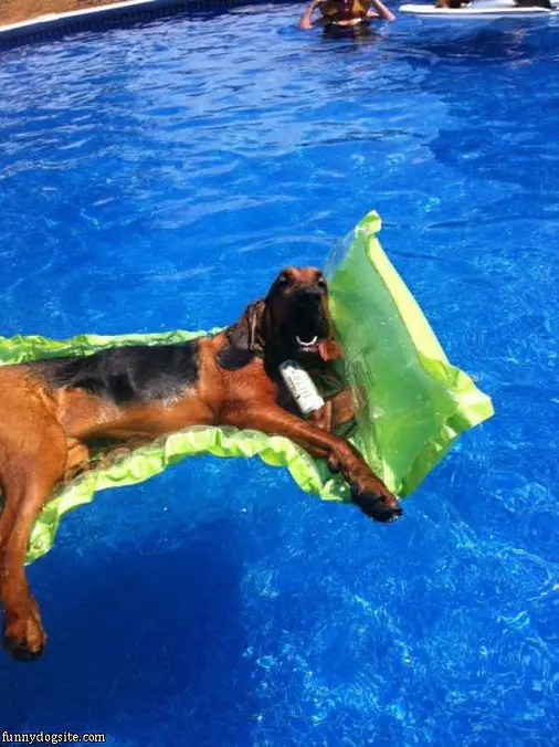 Cooling Off