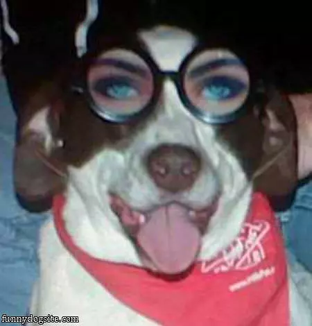 Nice Glasses