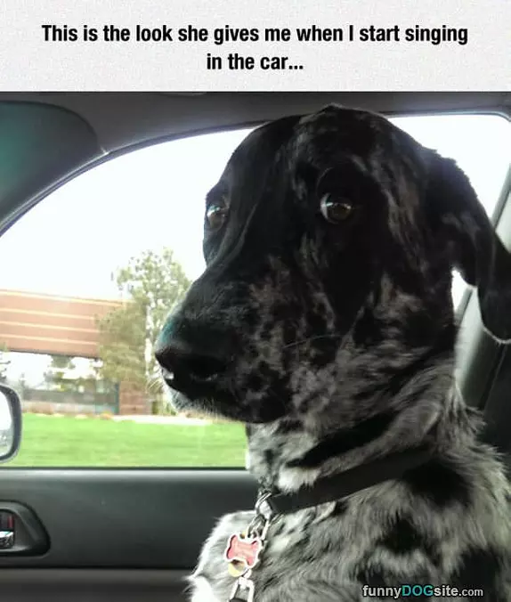 Please Stop Singing
