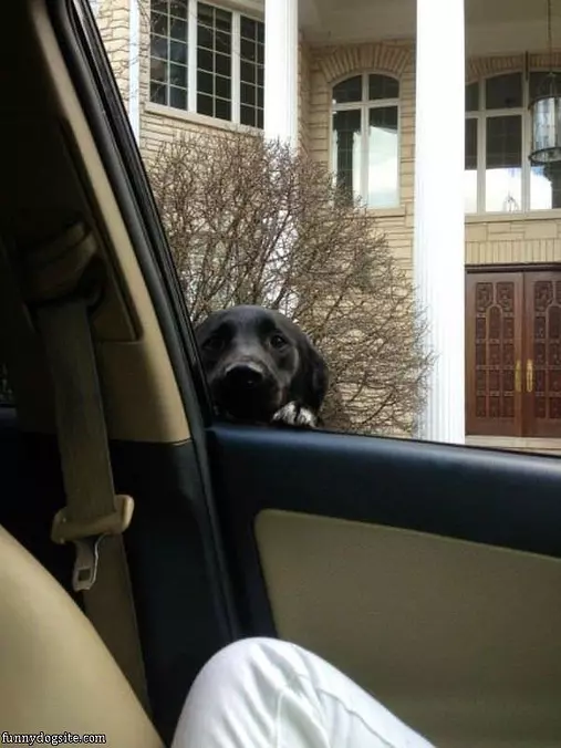 Hi There