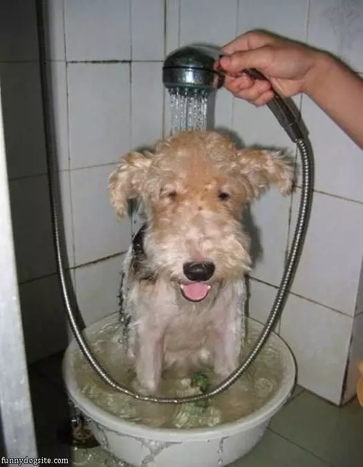 Getting My Bath