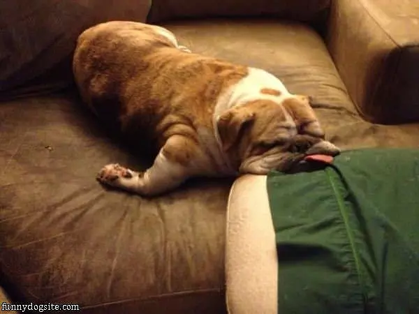 I Am Completely Pooped Out